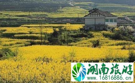 开阳十里画廊旅游攻略 开阳十里画廊旅游攻略