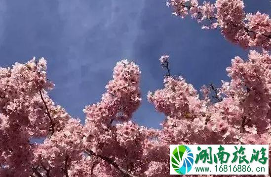 手机修图技巧推荐 手机修图基础教程