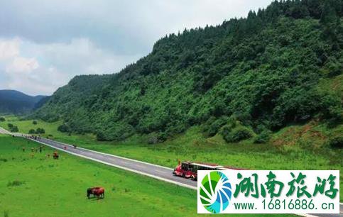 一家人自驾游去哪里 适合带家人自驾的乡村公路推荐