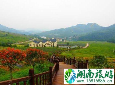 蓝梦谷景区怎么样 蓝梦谷景区怎么样