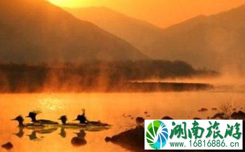 2022鄱阳湖湿地公园门票价格+优惠政策 2022鄱阳湖湿地公园门票价格+优惠政策