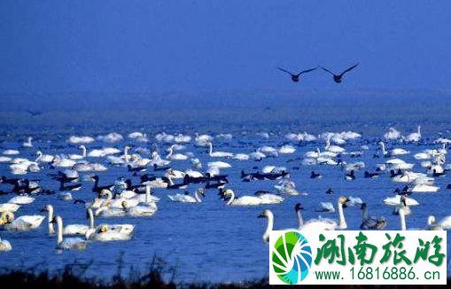 2022鄱阳湖湿地公园门票价格+优惠政策 2022鄱阳湖湿地公园门票价格+优惠政策