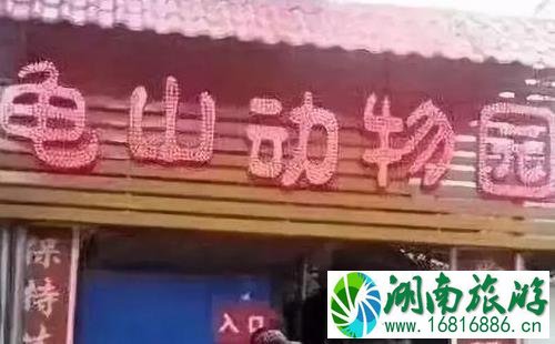 保定动物园门票多少钱+优惠政策 保定动物园门票多少钱+优惠政策