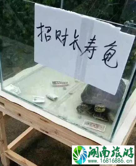 保定动物园门票多少钱+优惠政策 保定动物园门票多少钱+优惠政策