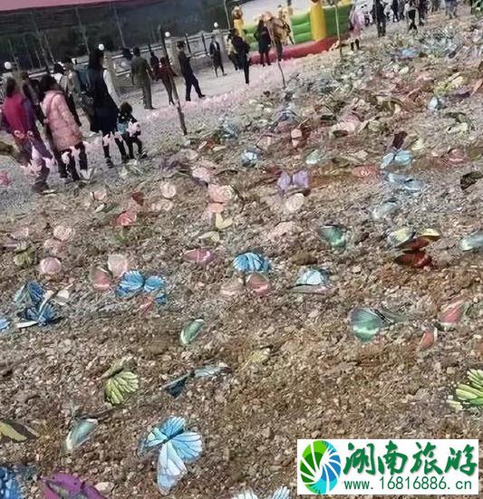 保定动物园门票多少钱+优惠政策 保定动物园门票多少钱+优惠政策