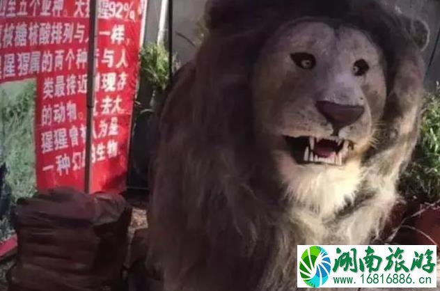 保定动物园门票多少钱+优惠政策 保定动物园门票多少钱+优惠政策