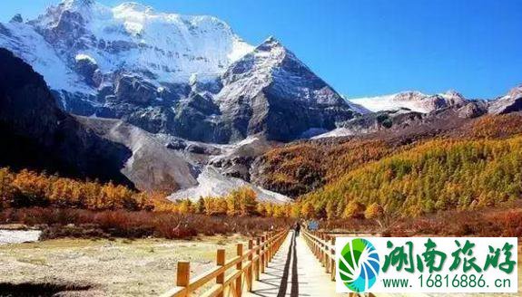 秋天去哪里旅游比较好 中国秋天最美的地方是哪里