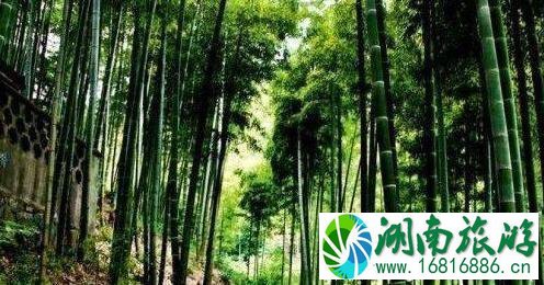 八月份适合去哪里旅游好 八月份适合去哪里旅游好