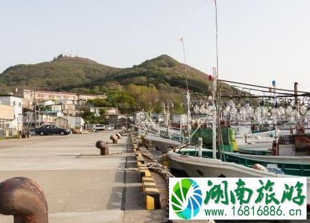 函馆早市怎么吃 美食攻略 函馆早市怎么吃 美食攻略