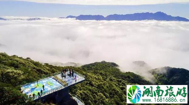 梅花山中国虎园景区7.29免费三日游 梅花山中国虎园景区7.29免费三日游