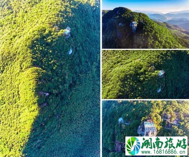 梅花山中国虎园景区7.29免费三日游 梅花山中国虎园景区7.29免费三日游