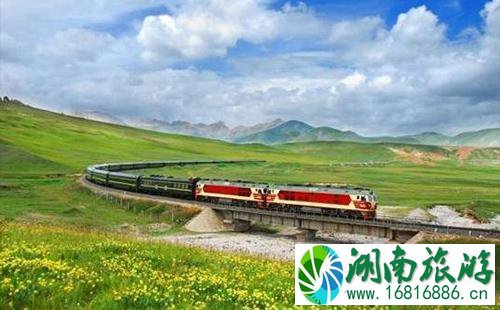 鄂博号旅游专线怎么报名 2022鄂博号在哪里报名 鄂博号旅游专线怎么报名 2022鄂博号在哪里报名