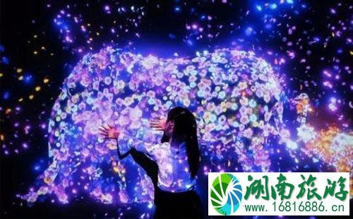 2022宝安科技馆影火虫魔法乐园开放时间 2022宝安科技馆影火虫魔法乐园开放时间