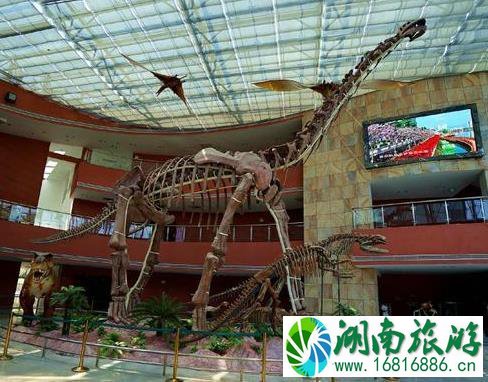 河源恐龙之乡 河源恐龙化石 河源恐龙之乡 河源恐龙化石