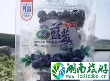 韶关采摘园 葡萄+桃子+李子 韶关采摘园 葡萄+桃子+李子