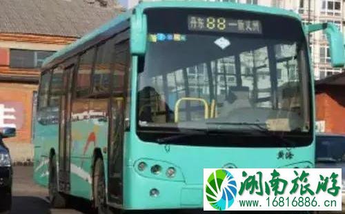中国跨国公交车在哪里 中国跨国公交车在哪里