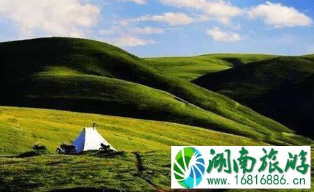 甘南甘加草原怎么样 甘加草原介绍 甘南甘加草原怎么样 甘加草原介绍