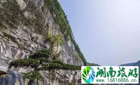 云门囤景区门票多少钱 云门囤景区门票多少钱