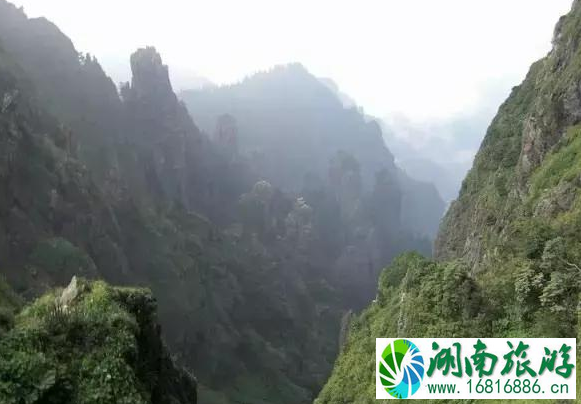 神龙架必去的景点推荐
