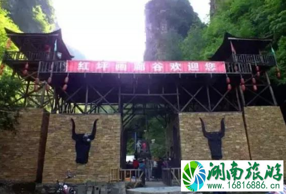 神龙架必去的景点推荐