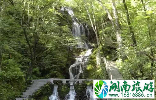 神龙架必去的景点推荐