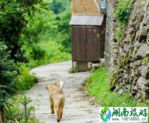 歙县阳产土楼要门票吗 土楼介绍 歙县阳产土楼要门票吗 土楼介绍