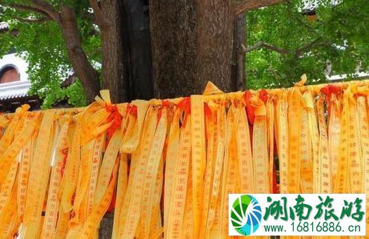 真如寺怎么走 真如寺怎么走