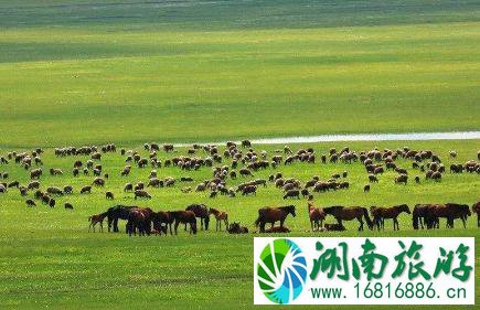 十一带孩子去草原合适吗 十月份去草原冷不冷 十一带孩子去草原合适吗 十月份去草原冷不冷