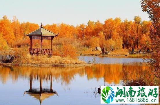 金塔胡杨林游览时间 金塔沙漠胡杨林景区门票多少钱 金塔胡杨林游览时间 金塔沙漠胡杨林景区门票多少钱