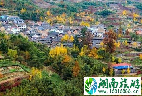 四明山有什么好玩的 四明山游玩线路介绍 四明山有什么好玩的 四明山游玩线路介绍