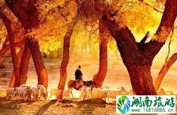 九月最适合去的地方 九月最适合去的地方