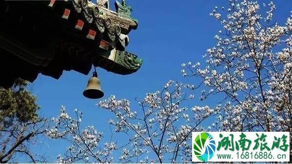 潭柘寺求什么灵 潭柘寺求什么灵
