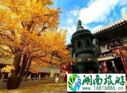 潭柘寺求什么灵 潭柘寺求什么灵