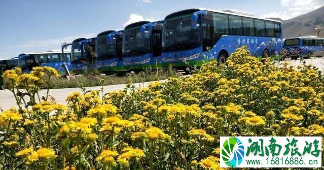 2022年赛里木湖景区区间车正式运营及自驾车限量驶入的公告 2022年赛里木湖景区区间车正式运营及自驾车限量驶入的公告