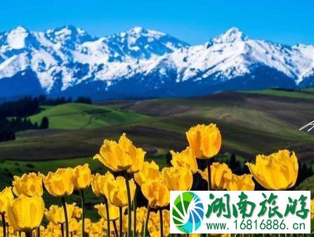 秋季北疆大环线游玩 11日游玩行程安排 秋季北疆大环线游玩 11日游玩行程安排
