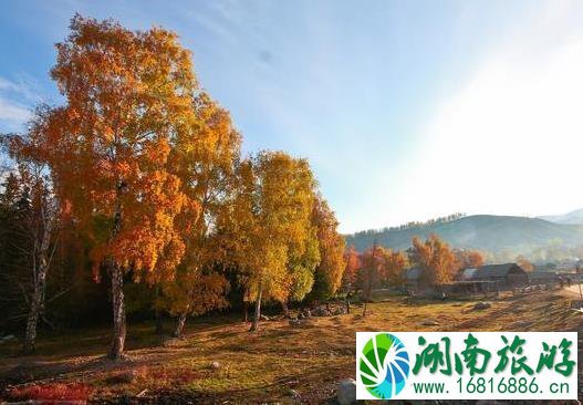 秋季北疆大环线游玩 11日游玩行程安排 秋季北疆大环线游玩 11日游玩行程安排