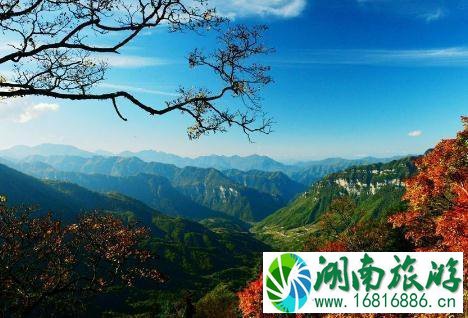 2022年9月神农架景区门票降价多少 2022年9月神农架景区门票降价多少