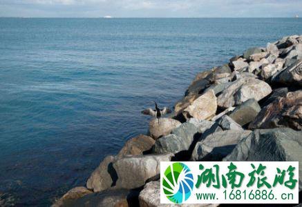 国内看海的地方有哪些 国内看海哪里消费低 国内看海的地方有哪些 国内看海哪里消费低