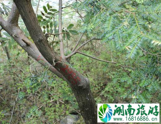 豫晋交界风景线路 豫晋交界风景线路