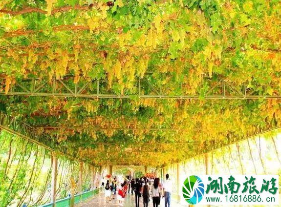 2022九月景区优惠信息汇总 2022九月景区优惠信息汇总