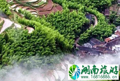 丽水遂昌有哪些景点值得去玩 丽水遂昌有哪些景点值得去玩