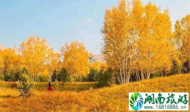 乌兰布统什么时候旅游最好 乌兰布统什么时候旅游最好