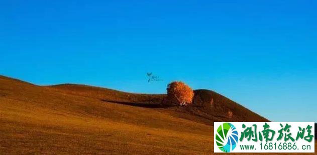 乌兰布统什么时候旅游最好 乌兰布统什么时候旅游最好