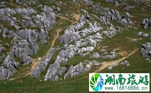 镇安北羊山在哪 一个徒步旅行圣地 镇安北羊山在哪 一个徒步旅行圣地