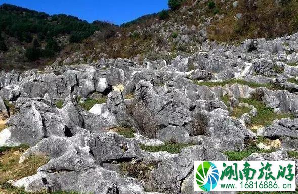 镇安北羊山在哪 一个徒步旅行圣地 镇安北羊山在哪 一个徒步旅行圣地