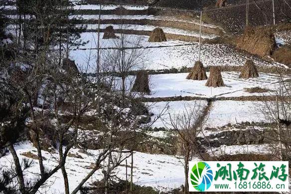 镇安北羊山在哪 一个徒步旅行圣地 镇安北羊山在哪 一个徒步旅行圣地