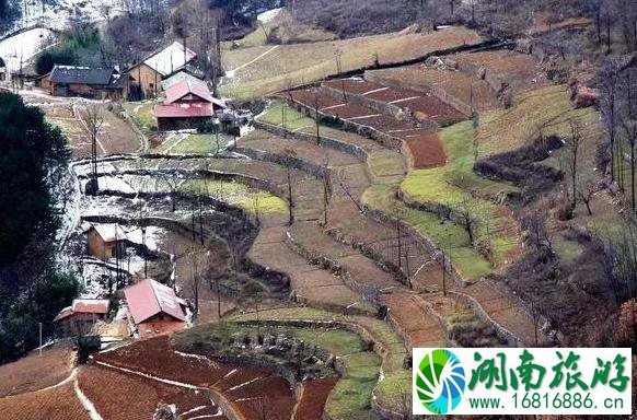 镇安北羊山在哪 一个徒步旅行圣地 镇安北羊山在哪 一个徒步旅行圣地