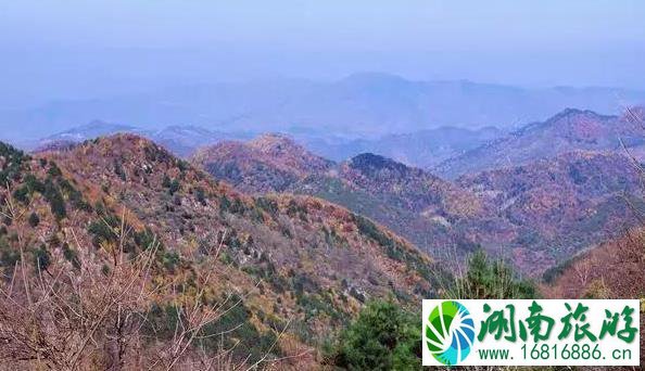 镇安北羊山在哪 一个徒步旅行圣地 镇安北羊山在哪 一个徒步旅行圣地