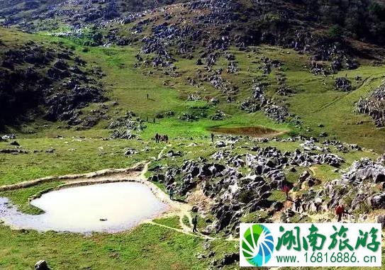 镇安北羊山在哪 一个徒步旅行圣地 镇安北羊山在哪 一个徒步旅行圣地