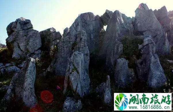 镇安北羊山在哪 一个徒步旅行圣地 镇安北羊山在哪 一个徒步旅行圣地